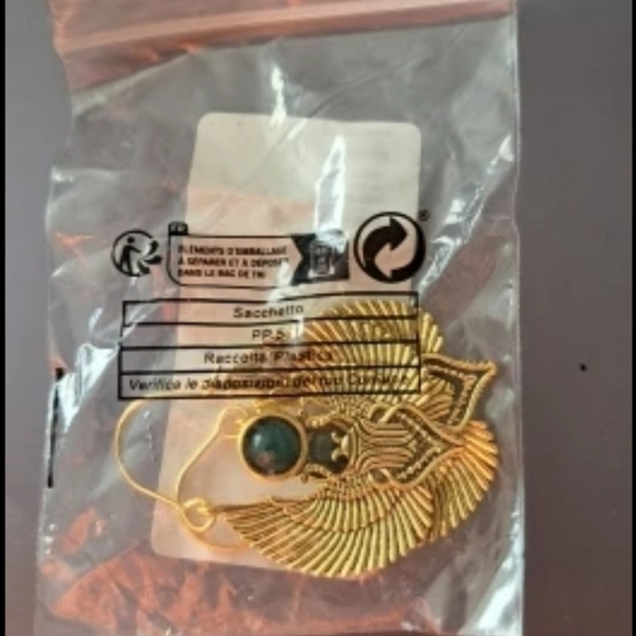 Sacred Ancient Egyptian Beetles Wings🌙 Earrings - Picture 3 of 8